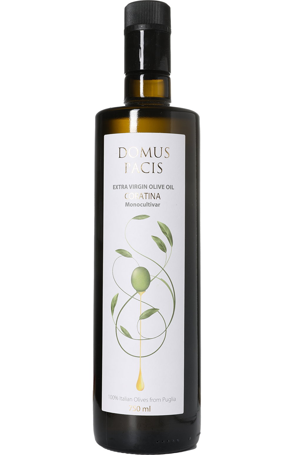 Coratina - Domus Pacis