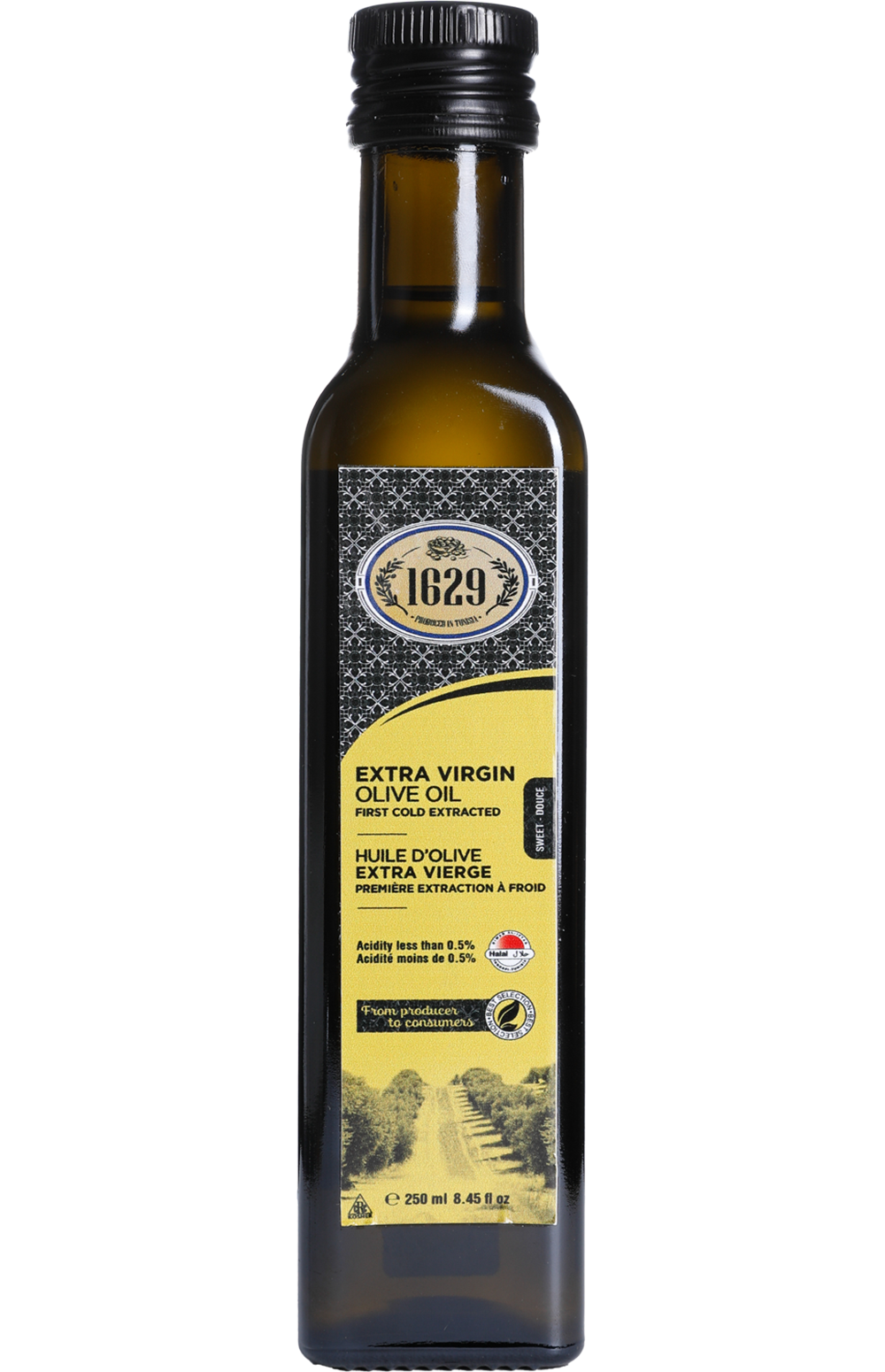 Chetoui - Tiger Power Co. Ltd