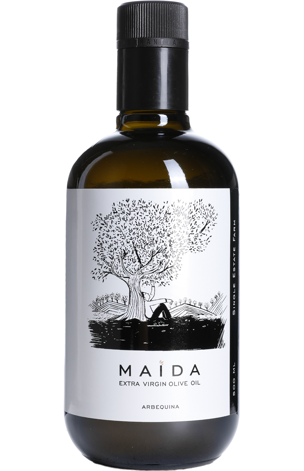 Arbequina - Al-Maida Agricultural