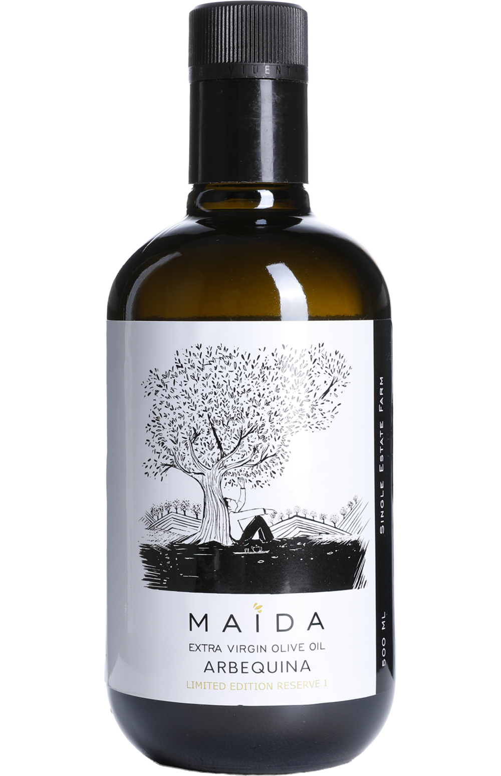 Arbequina - Al-Maida Agricultural