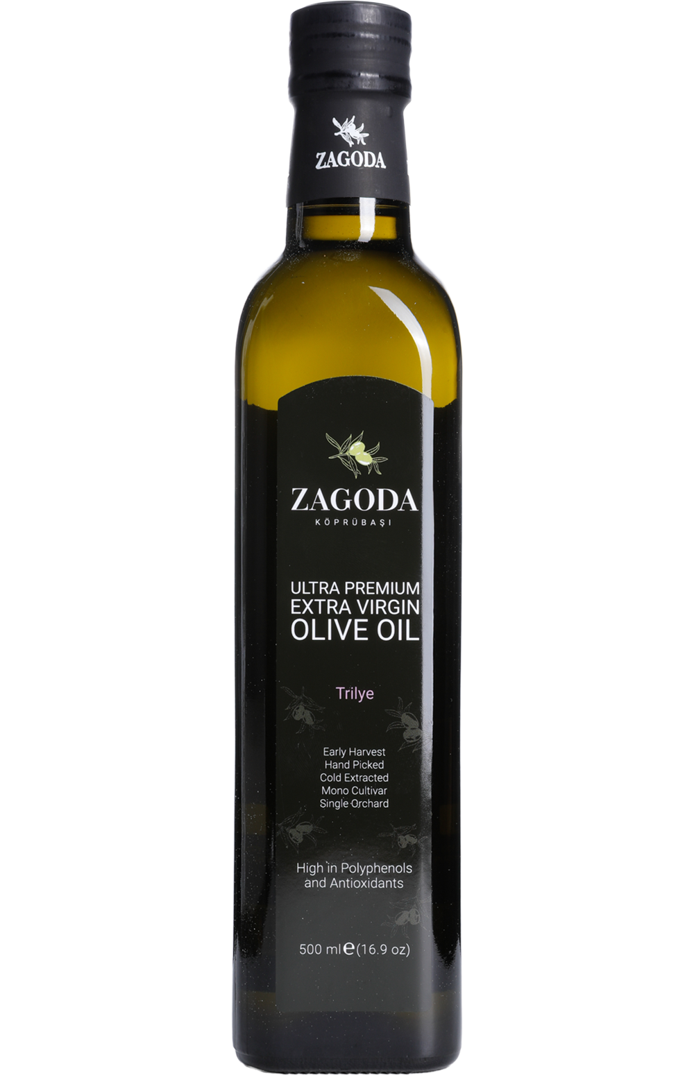 Trilye - Zagoda - Köprübaşı