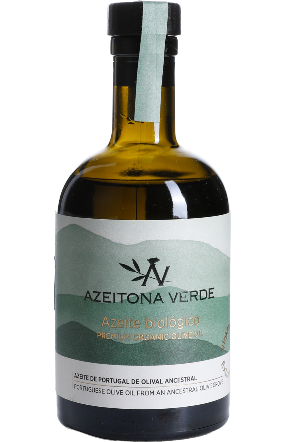 azeitona-verde-london-olive-oil-awards-global-olive-oil-stars