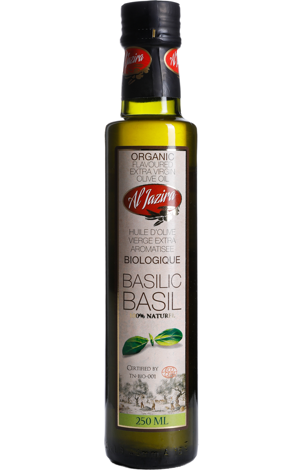 Basil - Stca Aljazira